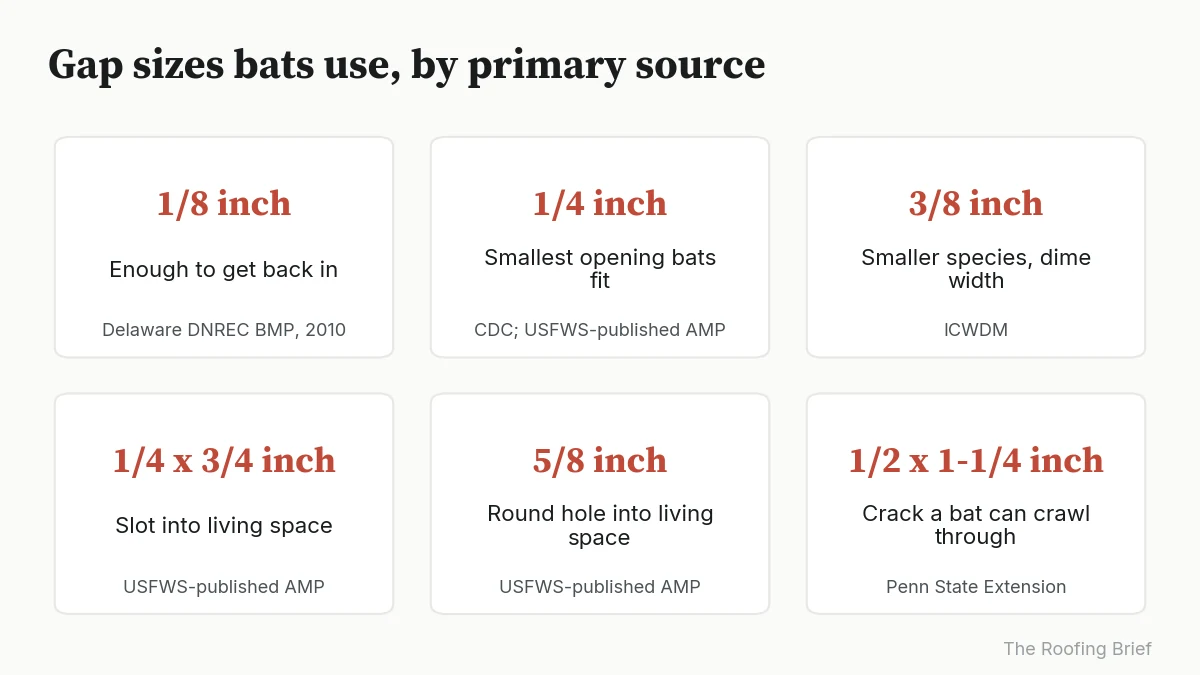 Six cards showing bat entry gap sizes from 1/8 inch to 1/2 by 1-1/4 inch with their sources