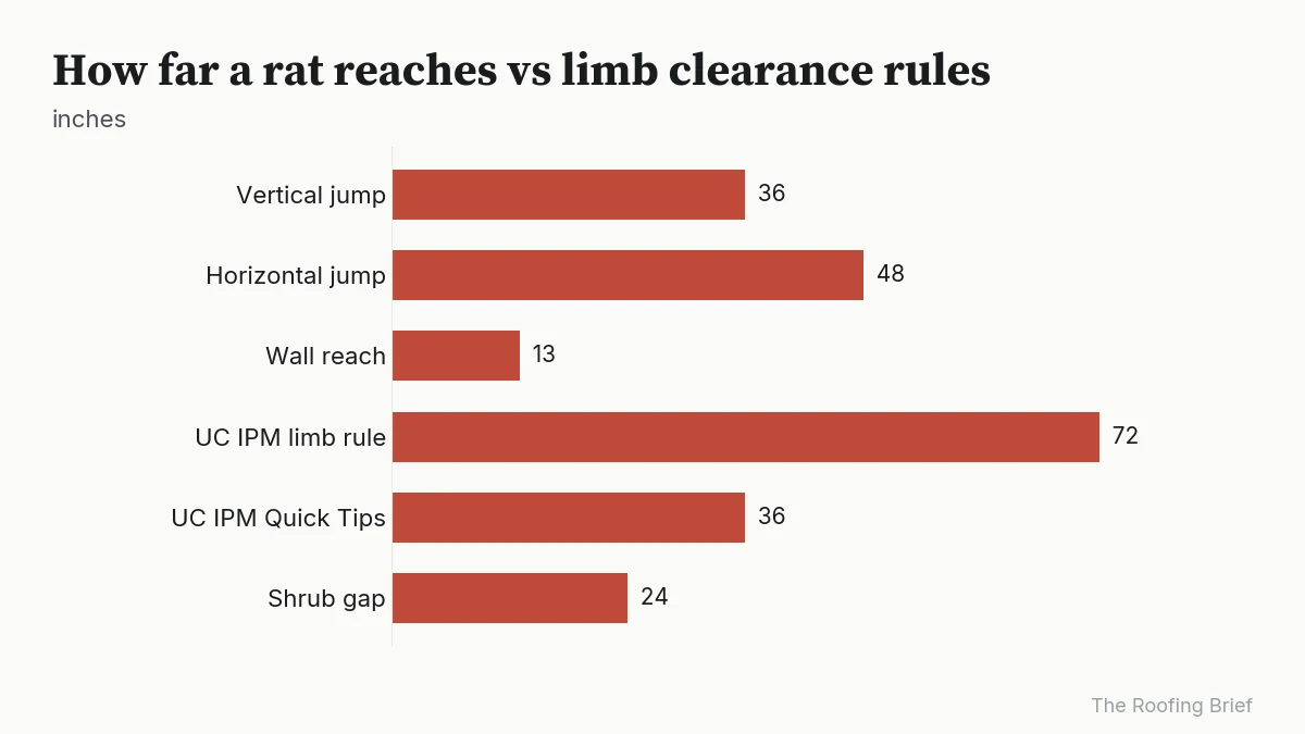 Bar chart of rat jump and reach distances next to UC IPM limb and shrub clearance rules in inches