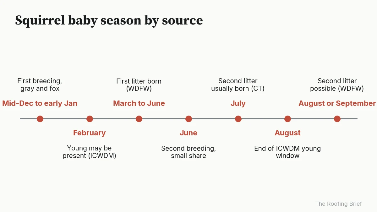 Timeline of squirrel breeding and litter months from December through September by agency